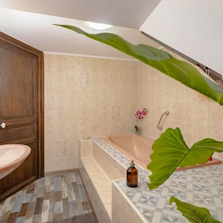 Maison Dans Le Centre Historique 別荘 *